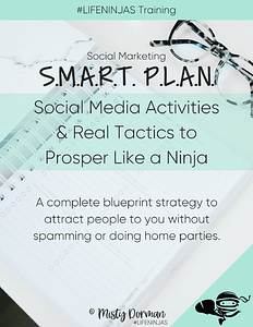 SMART PLAN Daily Action plan for network marketers to get more leads in their home business via attraction marketing strategies